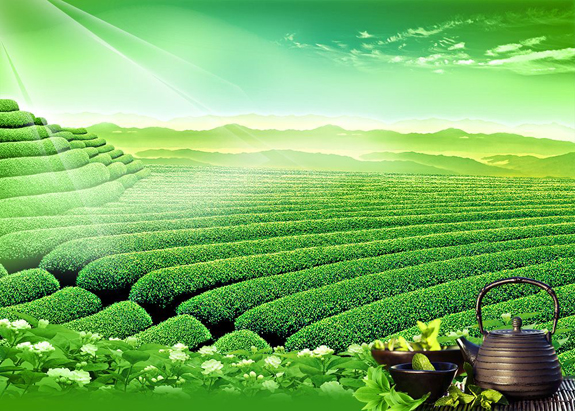 RFID系统在茶叶制品各个环节的应用